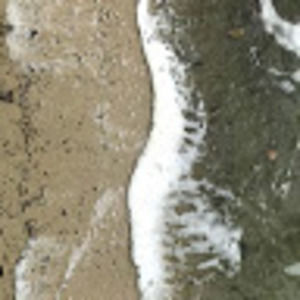 Meet your Posher, Julia'belle